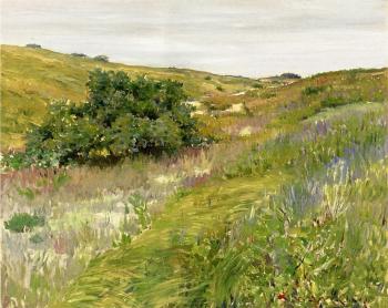 William Merritt Chase : Landscape Shinnecock Hills